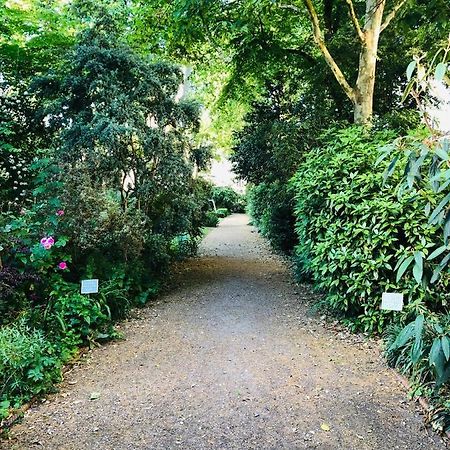 Southern Belgravia Apartments ลอนดอน ภายนอก รูปภาพ